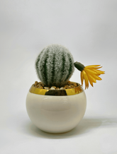 Artificial Cactus in White Ceramic Planter